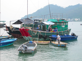 Pescadores en Tai O.
